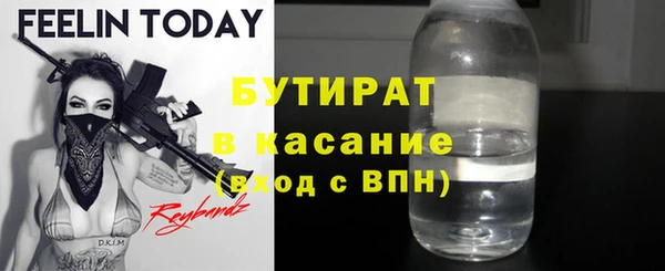 индика Корсаков