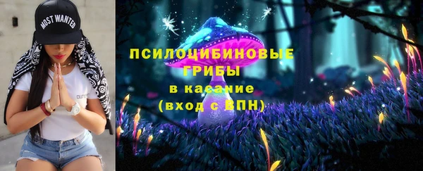 мдпв Краснотурьинск