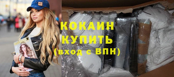 твердый Краснослободск