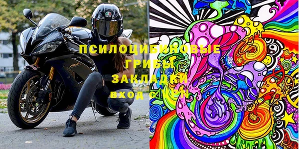 твердый Краснослободск