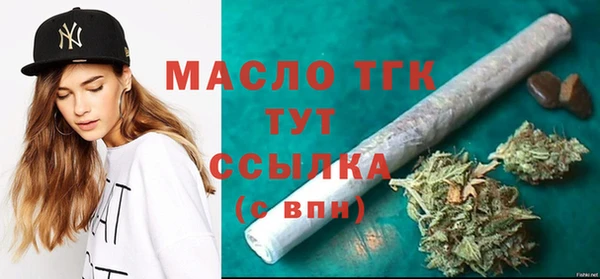 твердый Краснослободск