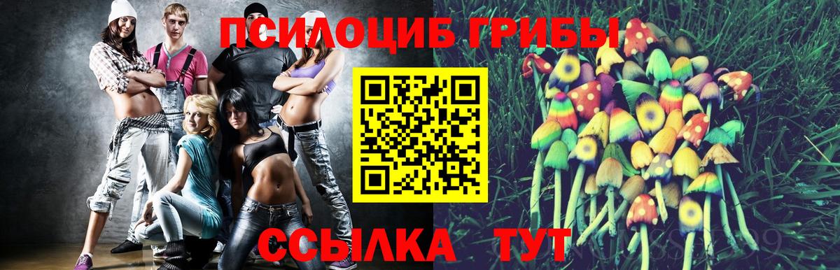 Псилоцибиновые грибы Psilocybe Красный Сулин