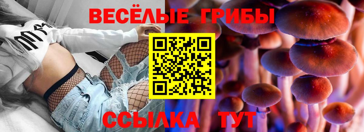 где купить наркоту  Галлюциногенные грибы мухоморы  Вход с VPN  Красный Сулин  Галлюциногенные грибы MAGIC MUSHROOMS 